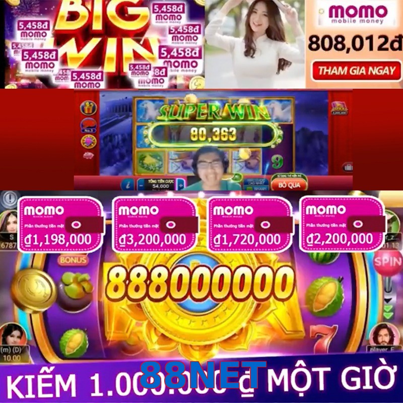 88NET