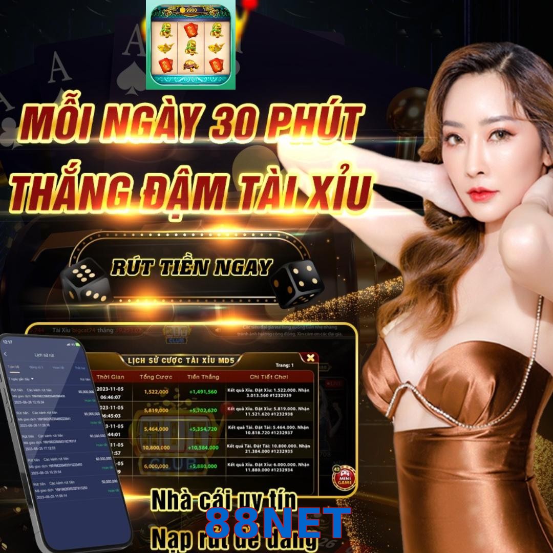 88NET